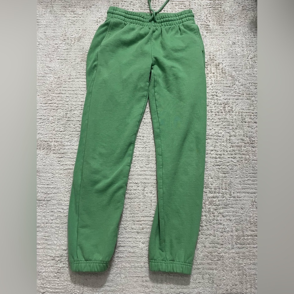 Aritzia TNA Extra Fleece Boyfriend Sweatpants